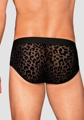 Труси Azmeron briefs