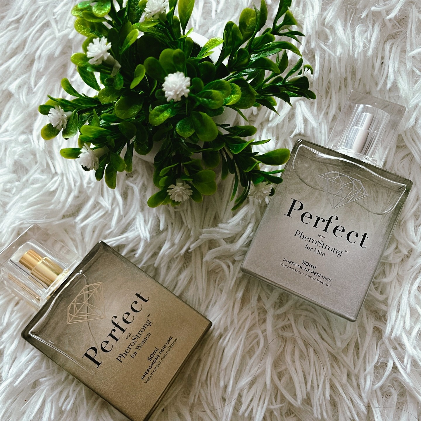 Духи з феромонами чоловічі  Perfect with PheroStrong 50мл- фото 2