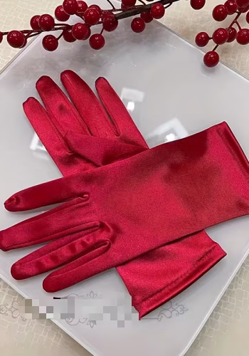 Перчатки Gloves model 21